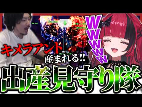 面白過ぎるけっつんの出産見守りを見守るもしゅ【折咲もしゅ / けっつん / #ARK / REJECT / 切り抜き】