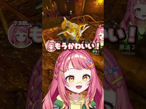 【天下無双ARK】可愛すぎる動物に癒されるさぶ郎 #さぶ郎 #さぶ郎切り抜き